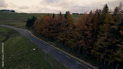 Trees Alongside Drone in French Lowland With Grass Meadows