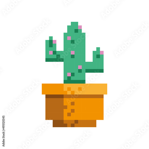 pixelated cactu houseplant