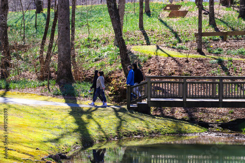 four people walking along a footpath in the garden with a brown wooden fence and a small pond with lush green grass on the banks with lush green and bare winter trees at Gibbs Garden in Ball Ground photo