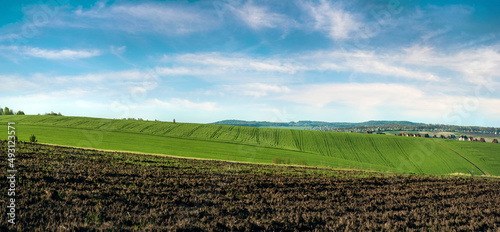 Arable land and field with green wheat, blue sky. Green field, brown arable l...