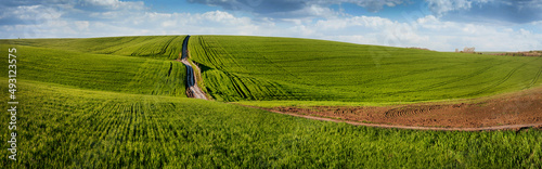 dirt road in a green field of hills, landscape waves with sky