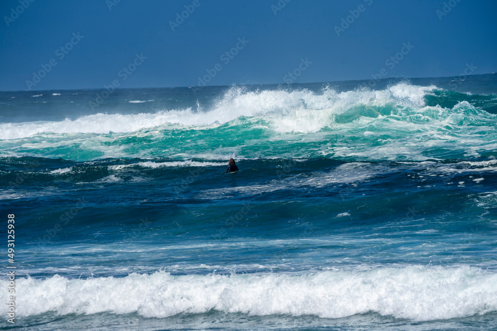 Surfing Surfing