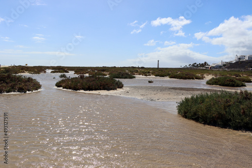 Saladar de Jandía, Feuchtgebiet an der Playa del Matorral