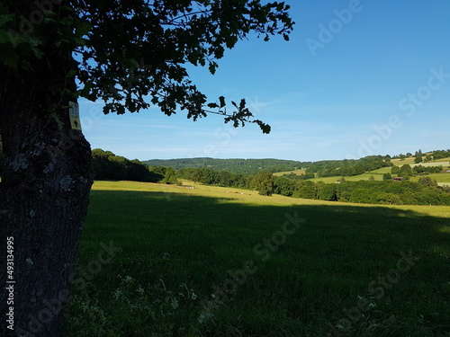 Panoramablick Vogelsberg Hessen