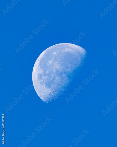 Half moon during the daytime