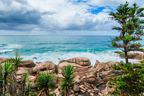 Tropical coastline with plants, trees and turquoise ocean in Brazil.