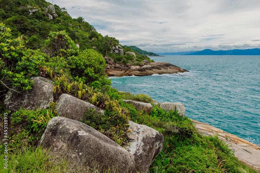 Scenic coastline with tropical plants, amazing rocks and ocean.