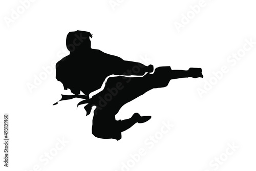 karate taekwondo kungfu silhouette kick and technic vector illustration logo 