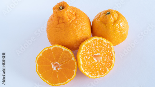                                  Sumo Citrus   Sumo Mandarin    