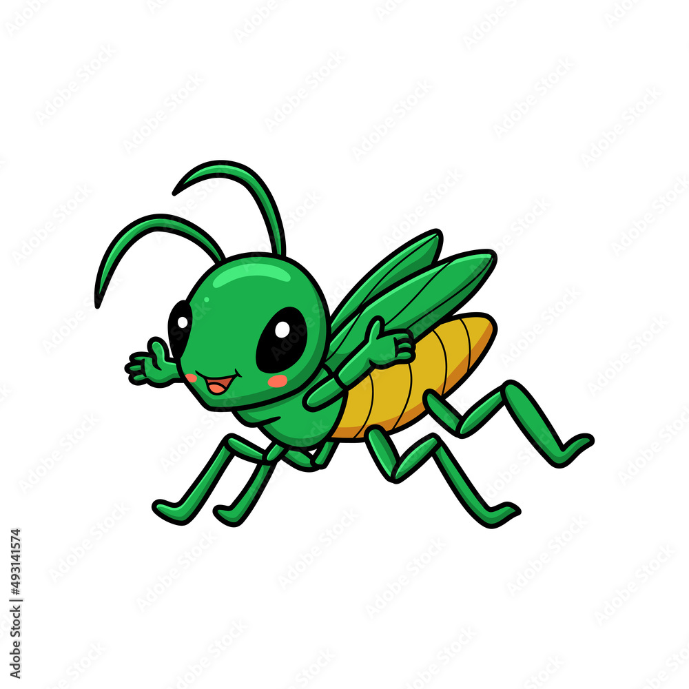 Cute little mantis cartoon character Cute little mantis cartoon character