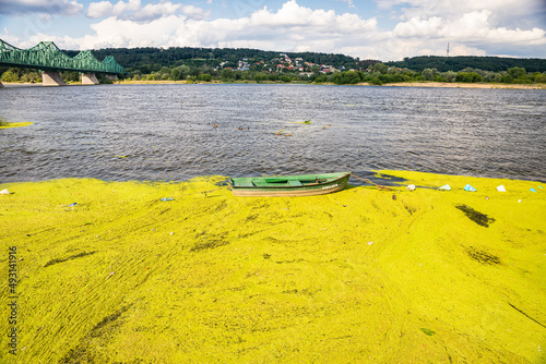 Wloclawek, Poland - August 11, 2021. Green bridge Marszalka Rydza-Smiglego over Vistula river in Summer photo