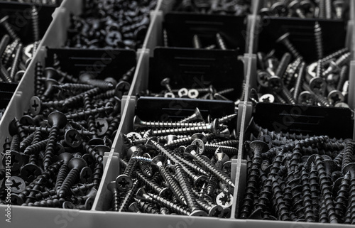 partitioned plastic organizer box full of various screws