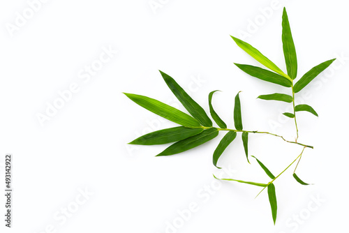 Bamboo leaves on white background.