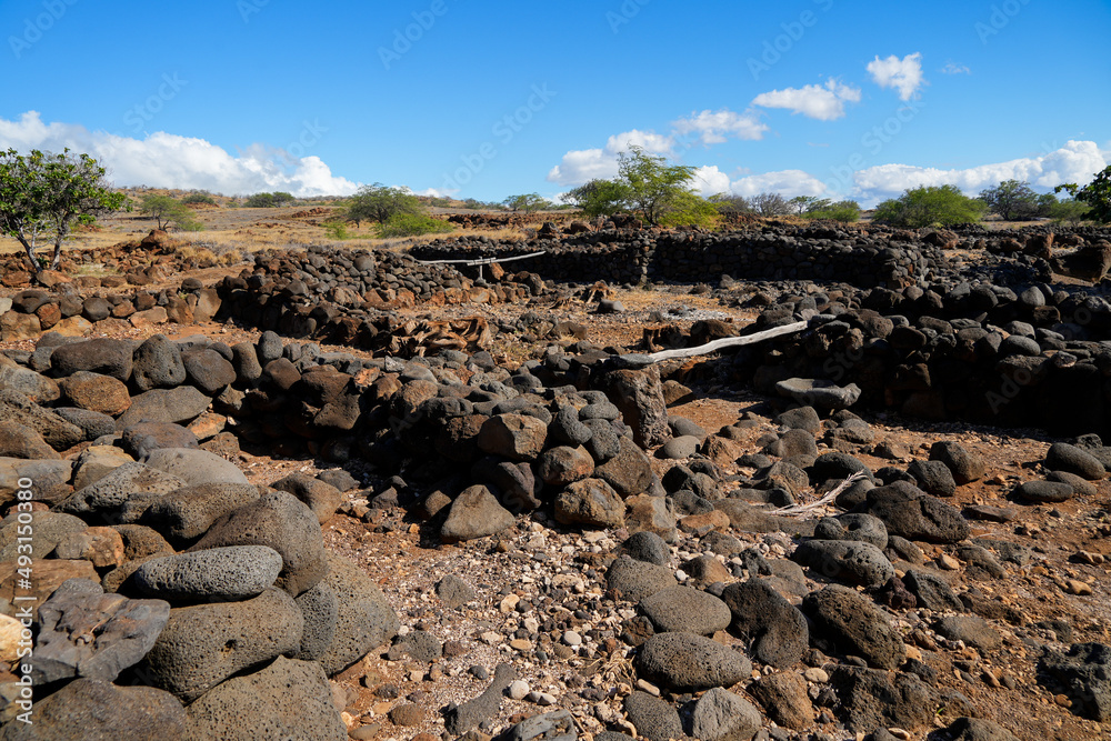 Ruins of traditional Hale (houses) in the ancient fishing village of the Lapakahi State Historical Park on the island of Hawai'i (Big Island) in the Pacific Ocean Ruins of traditional Hale (houses) in the ancient fishing village of the Lapakahi State Historical Park on the island of Hawai'i (Big Island) in the Pacific Ocean