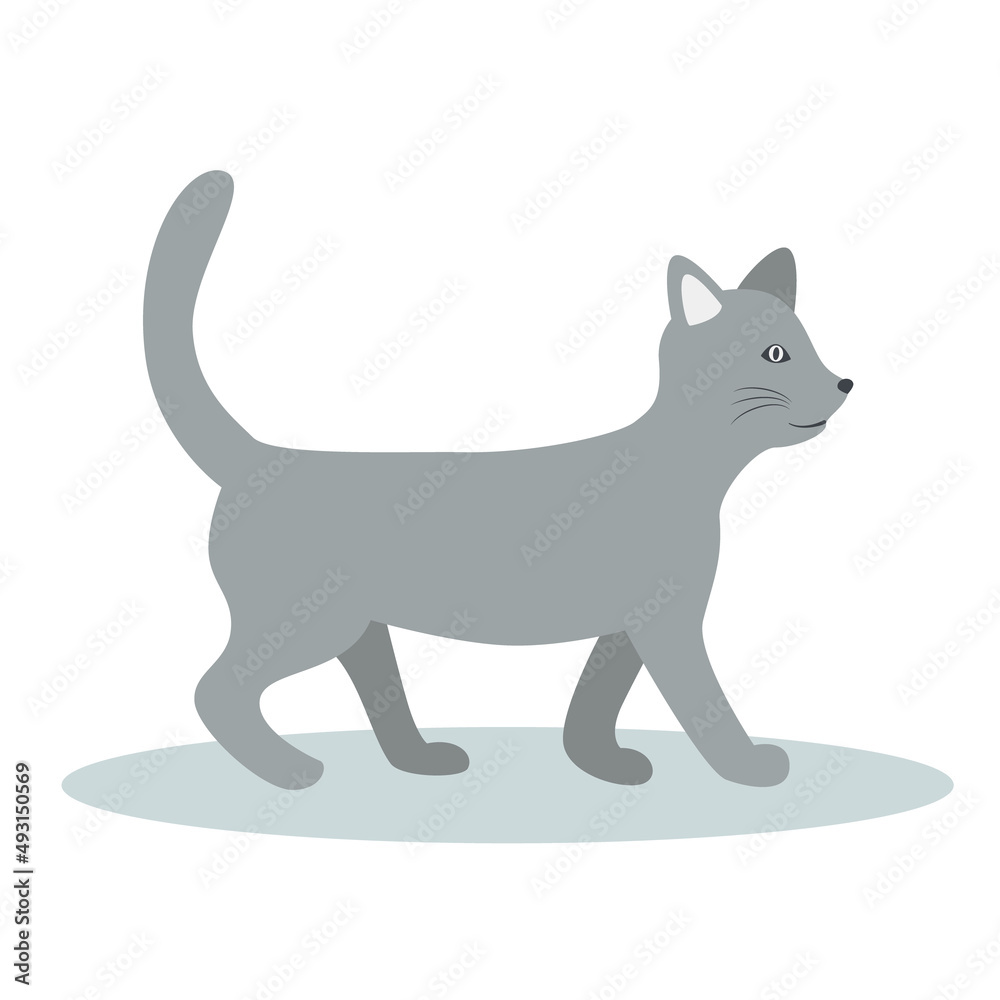 Happy grey cat is walking. Flat vector