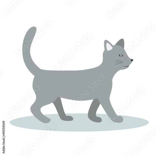 Happy grey cat is walking. Flat vector