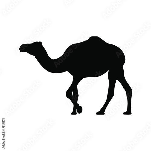 Camel icon. animal sign. silhouette style.color editable