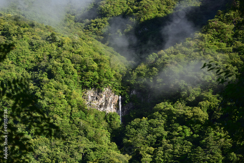 waterfall of heart shape in summer 