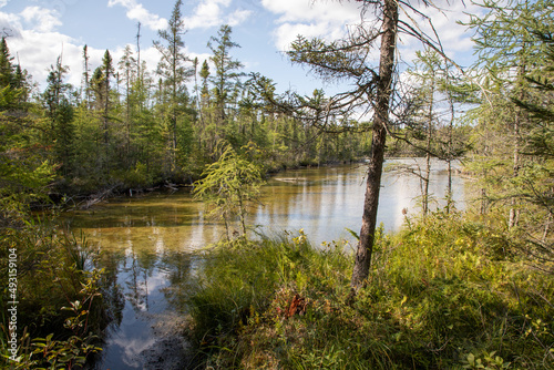 A remote kettle bog at Bemidji State Park in northern Minnesota is home to a wide variety of wildlife as shown in the summer at dusk during golden hour