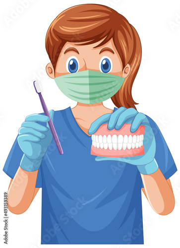 Dentist holding toothbrush and human teeth model