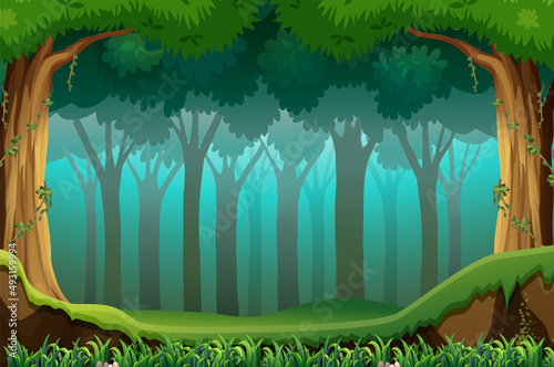 Nature scene with many trees