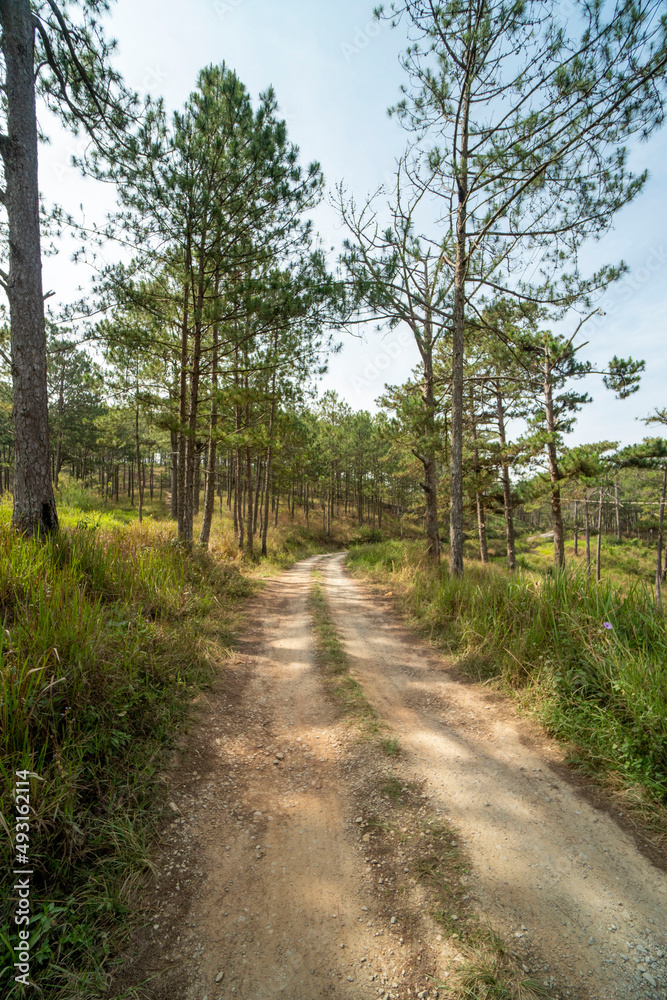 Amazing landscape of Da Lat city, Vietnam