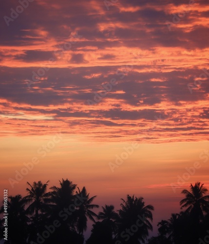 magical sunrise with palm tree silhouette
