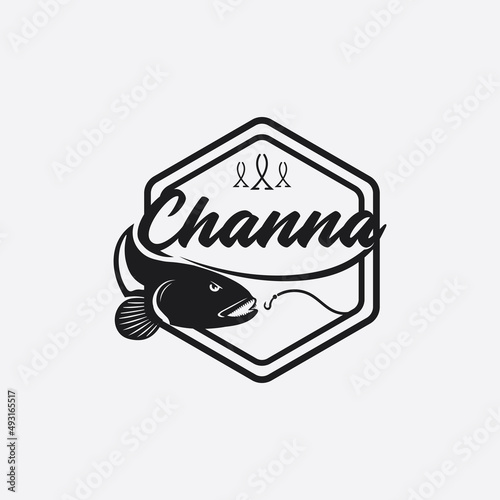 Channa Snakehead fish, Predator Fish, animal underwater design and illustration photo