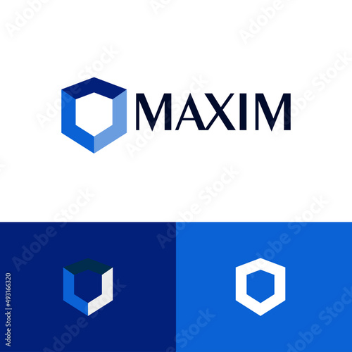Tech security logo design concept. Fintech company brand logomark illustration. Can representing guard, hacker, security, shield, program, ai, system, blockchain, vpn, code.
