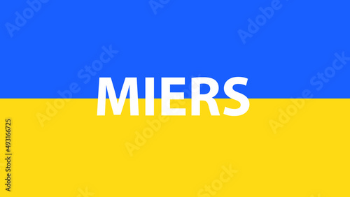 FLAG OF UKRAINE WITH THE PHRASE WELCOME UKRAINIANS IN