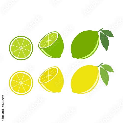 Vector lime slice green and orange illustration lemon isolated half fruit lime. Fresh green cut citrus icon.