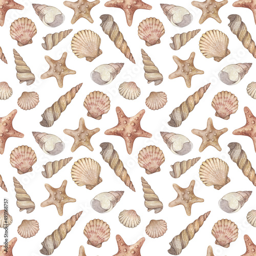 Watercolor seamless pattern with vintage seashells isolated on white background. Marine collection.