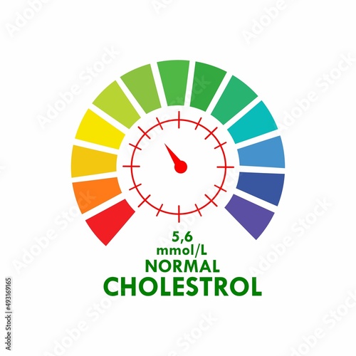 Cholesterol Meter app user interface. template illustration.