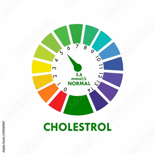 Cholesterol Meter app user interface. template illustration.