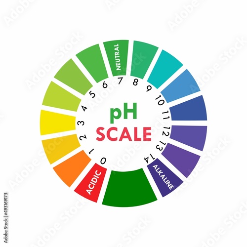 pH scale indicator chart diagram acidic alkaline measure. pH analysis vector chemical scale value test.