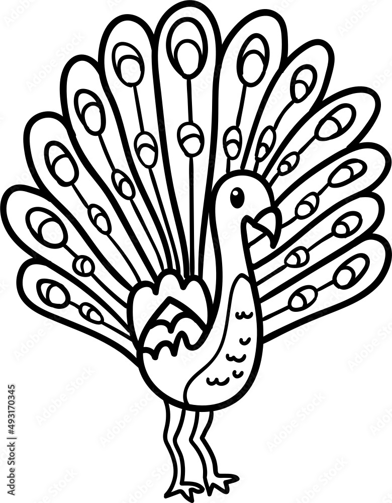 Obraz premium Peacock cartoon drawing for coloring book