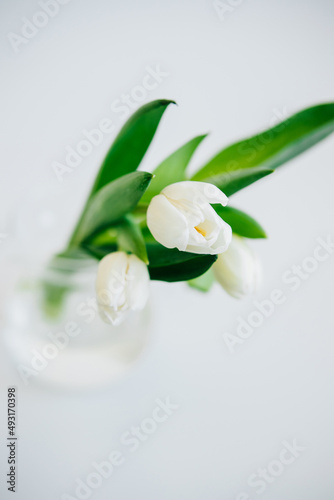 White Tulips bouquet in glass vase isolated on white background