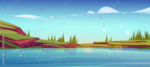 Summer nature landscape with lake, green grass on rocks and conifers trees. Scenery pond with blue clear water and spruces under blue sky with clouds and flying birds, Cartoon vector background