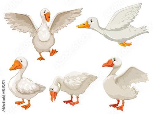 Set of different ducks in cartoon style