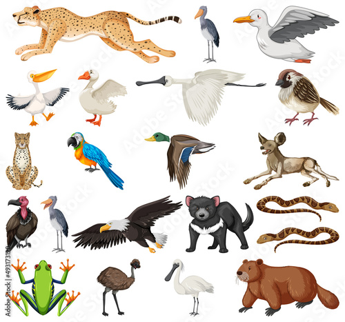 Different kinds of animals collection © blueringmedia