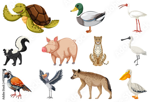 Set of different kinds of animals © blueringmedia