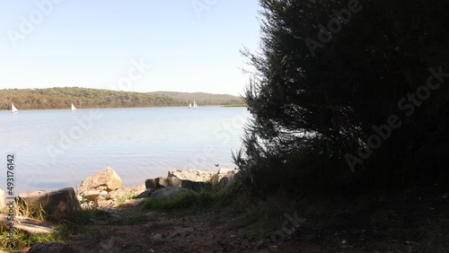 A wide shot on a group of sail boats on a calm lake in Australia. photo