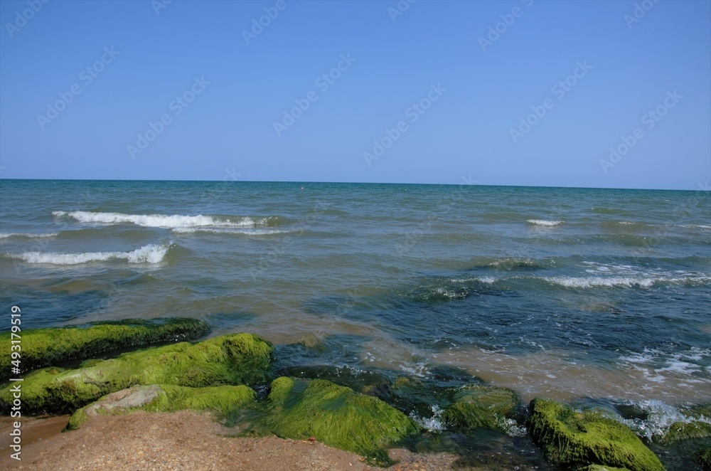 stones on the seashore. The sea is blooming, the tina on the rocks stones on the seashore. The sea is blooming, the tina on the rocks
