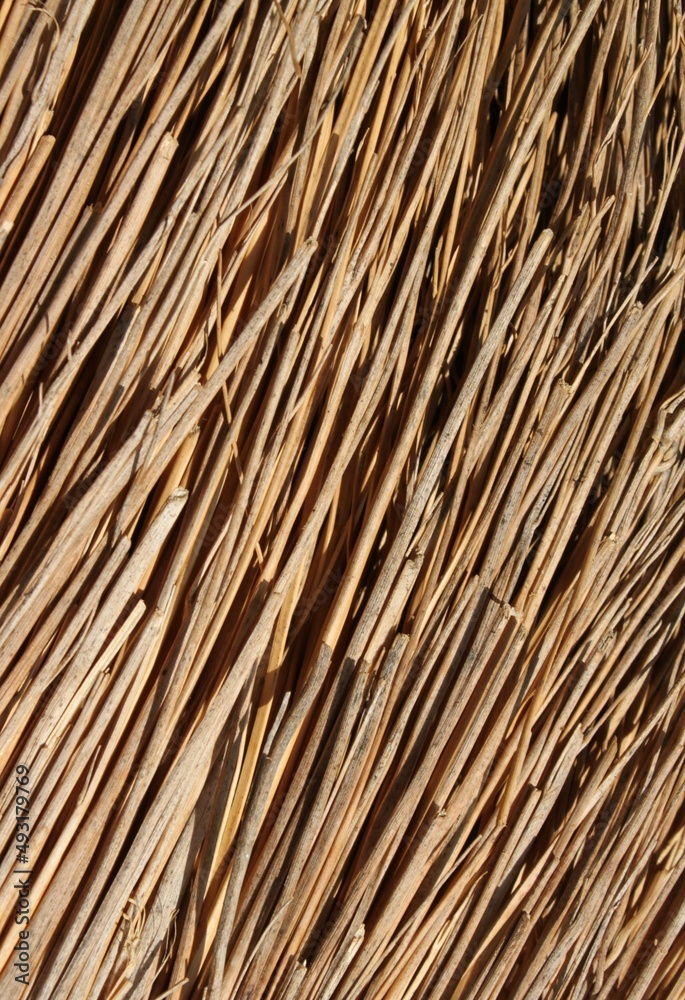 closeup of a bundle of straw
closeup of a bundle of straw