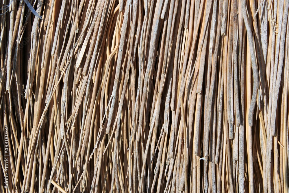 closeup of a bundle of straw
closeup of a bundle of straw