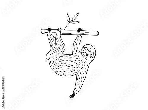 Vector isolated cute cartoon sloth hanging on a tree branch colorless black and white contour line doodle drawing
