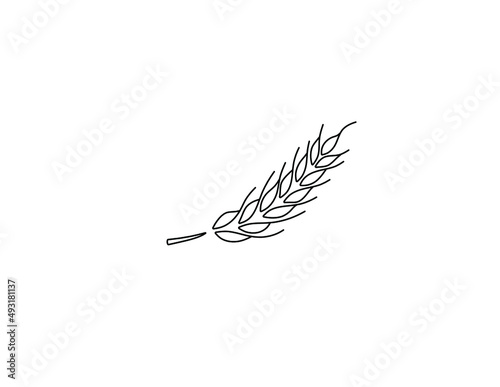 Vector isolated single ear of wheat colorless black and white contour line drawing
