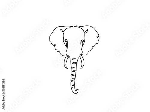 Vector isolated elephant head one line single line black and white drawing photo