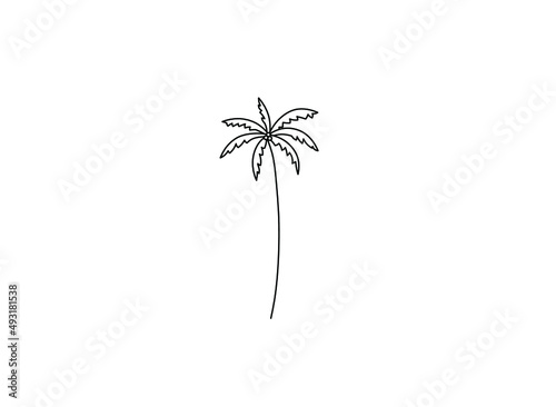 Vector isolated single tall palm tree on a long trunk colorless black and white simple line drawing