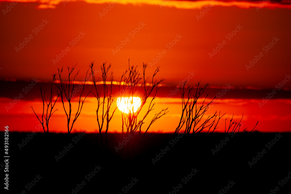 Sunrise in the Outback - Australia